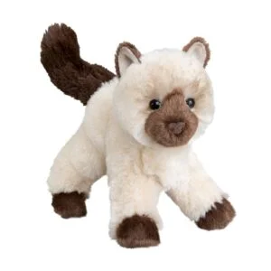 Cat Hilda Himalayan