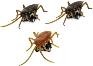 Racing Roaches