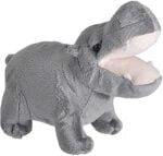 Wild Calls Hippo